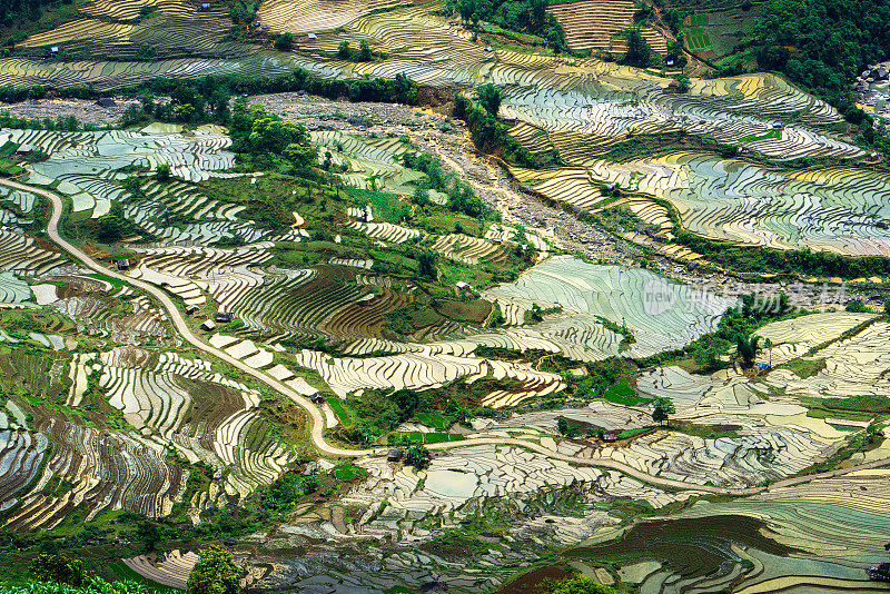 越南老蔡省Y Ty的梯田水季，开始种植水稻之前的时间